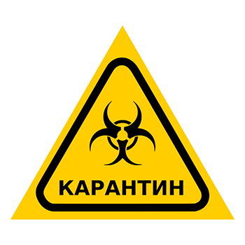 Знак «Карантин», Q13.6